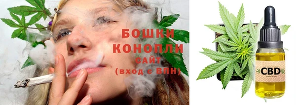 прущие грибы Заволжье