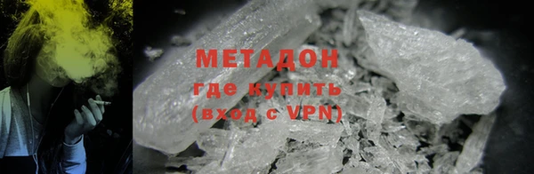 прущие грибы Заволжье