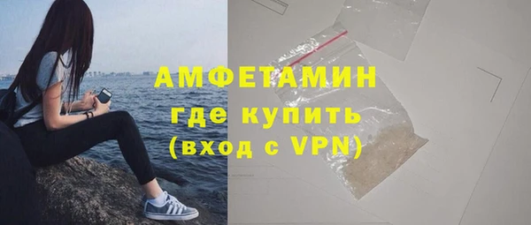 прущие грибы Заволжье