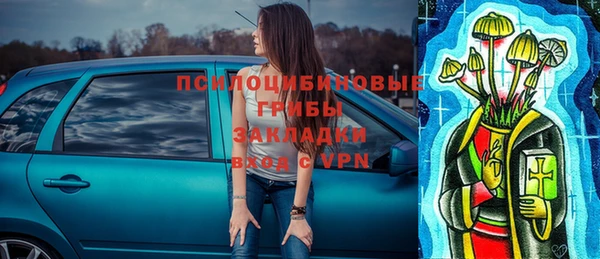альфа пвп Заволжск
